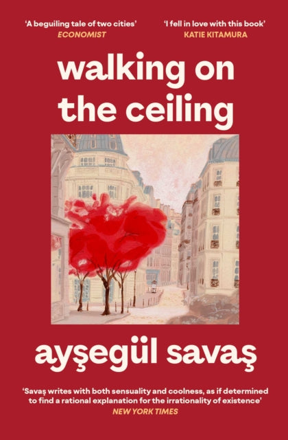 Walking on the Ceiling - 9781398562271