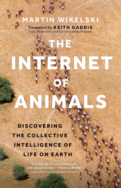 The Internet of Animals : Discovering the Collective Intelligence of Life on Earth - 9781771649599