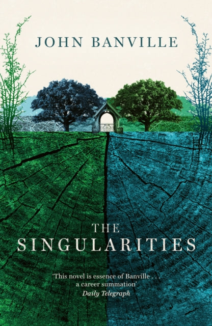The Singularities - 9781800753365