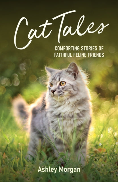 Cat Tales : Comforting Stories of Faithful Feline Friends - 9781837992829
