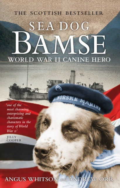 Sea Dog Bamse : World War II Canine Hero - 9781841588490