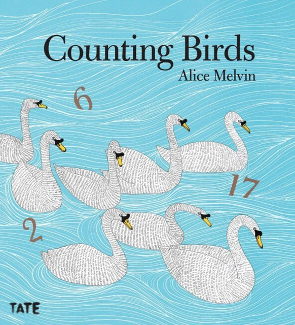 Counting Birds - 9781849762106