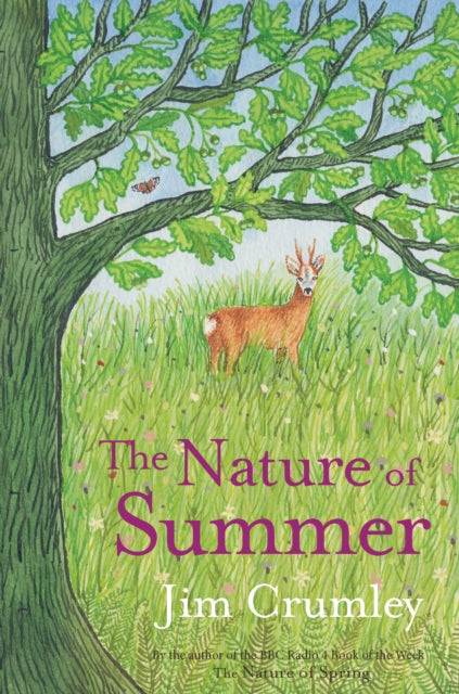 The Nature of Summer : 4 - 9781913393113