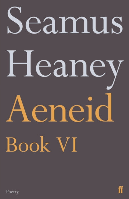 Aeneid Book VI - 9780571327331