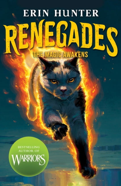 Renegades: The Magic Awakens - 9780702348785