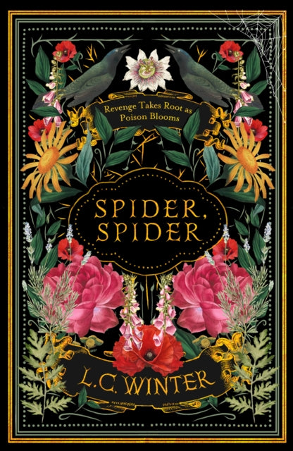 Spider, Spider : 'Black as night and as cleverly woven as a spider's web' Anna Mazzola - 9780715655825