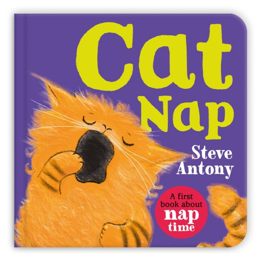 Cat Nap : A First Book About Naptime - 9781035029037