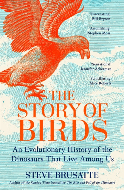 The Story of Birds : An Evolutionary History of the Dinosaurs That Live Among Us - 9781035032518