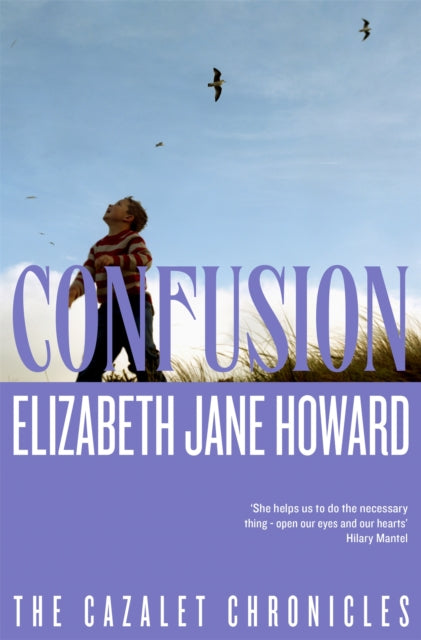 Confusion - 9781035042463