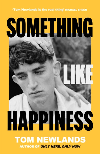 Something Like Happiness - 9781399607940