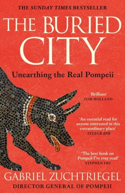 The Buried City : The Revelatory New History from the Director of Pompeii - a Sunday Times Bestseller - 9781399731195