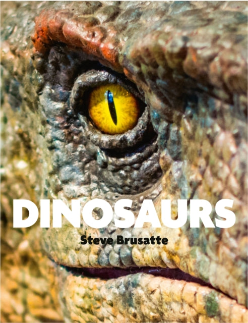 Dinosaurs - 9781529438390