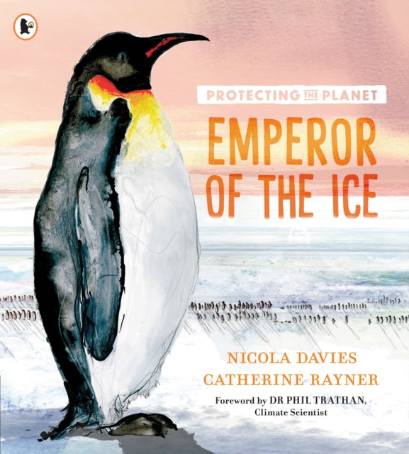 Protecting the Planet: Emperor of the Ice - 9781529514414
