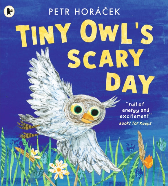 Tiny Owl's Scary Day - 9781529517194