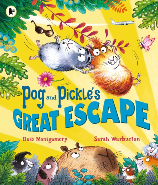 Pog and Pickle's Great Escape : A laugh-out-loud guinea pig adventure story for summer holidays by multi-award-winning author Ross Montgomery,  ages 3-7 - 9781529523058