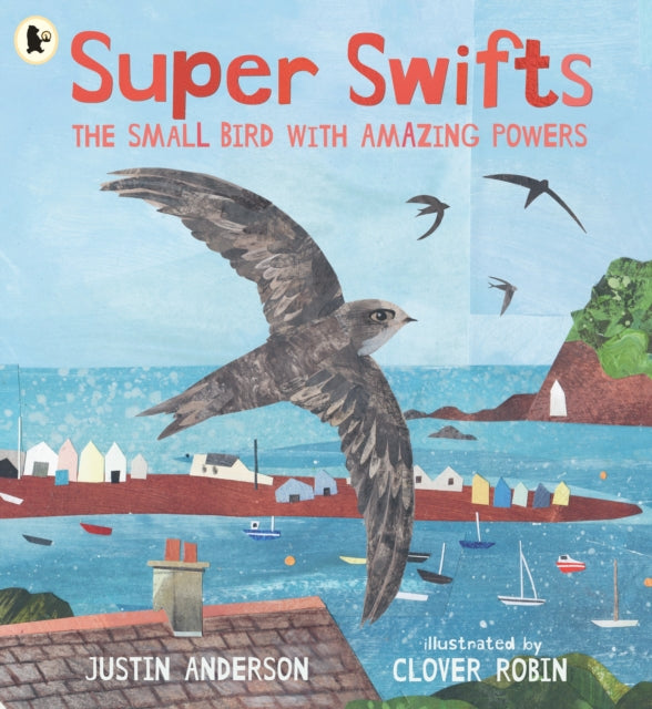 Super Swifts: The Small Bird With Amazing Powers - 9781529523690