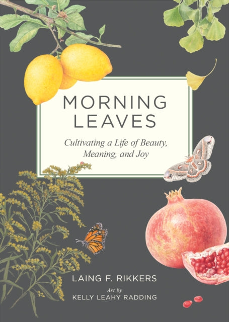 Morning Leaves : Cultivating a Life of Beauty, Meaning, and Joy - 9781636284729