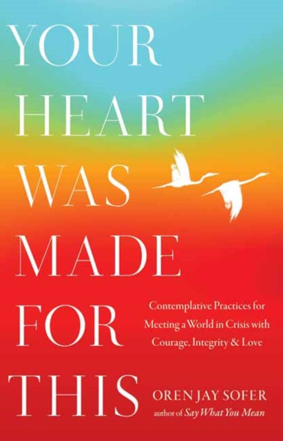 Your Heart Was Made for This : Contemplative Practices for Meeting a World in Crisis with Courage, Integrity, and Love - 9781645473893