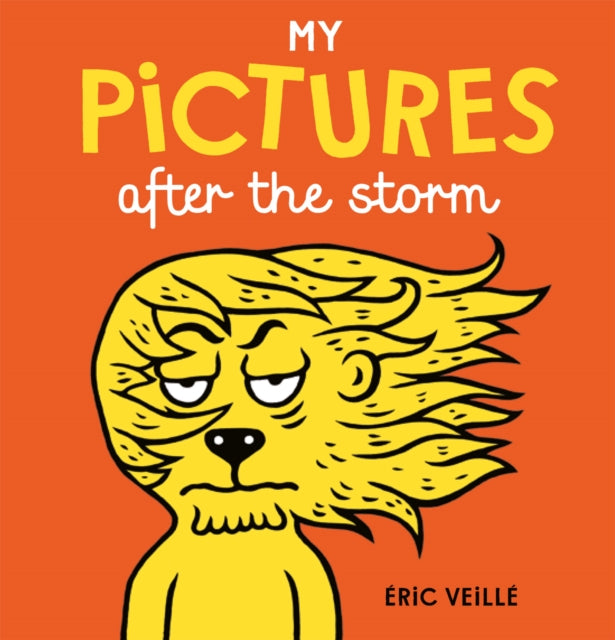 My Pictures After the Storm - 9781776571048