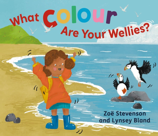 What Colour Are Your Wellies? - 9781780278742