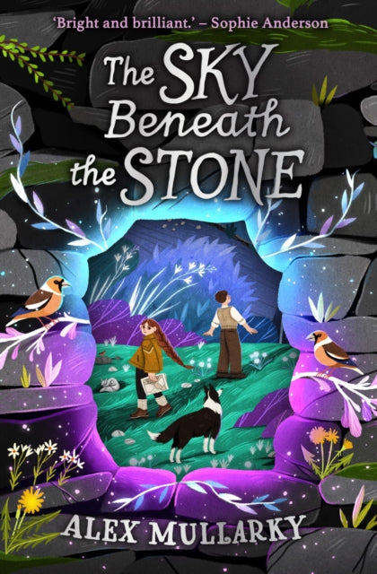 The Sky Beneath the Stone - 9781782507871