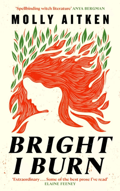 Bright I Burn - 9781786898388