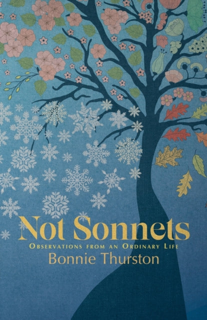 Not Sonnets : Observations from an Ordinary Life - 9781788641289