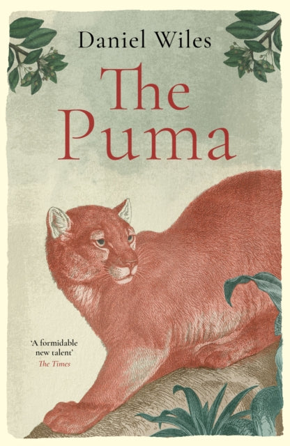 The Puma : 'A formidable new talent' The Times - 9781800753686