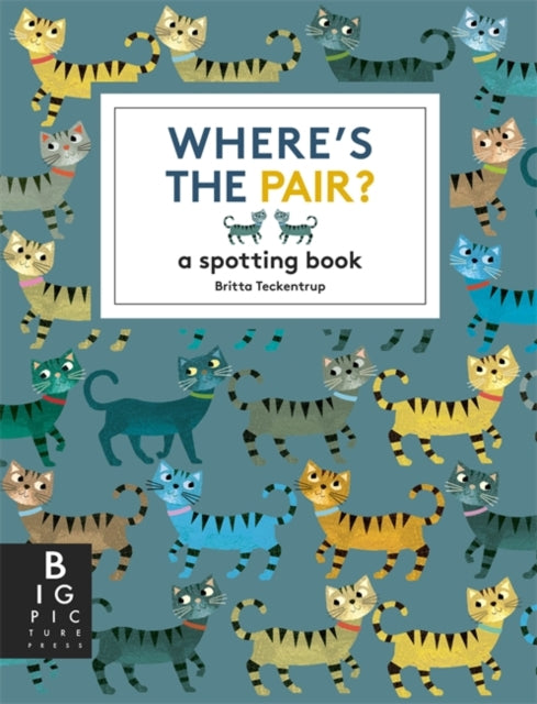 Where's the Pair? : A Spotting Book - 9781800787872