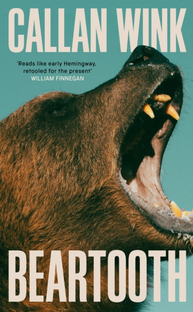 Beartooth - 9781803510965