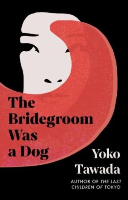 The Bridegroom Was a Dog - 9781803511320