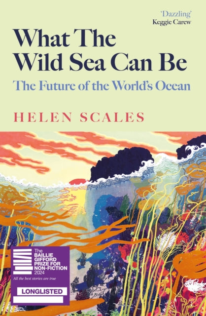 What the Wild Sea Can Be : The Future of the World's Ocean - 9781804710500