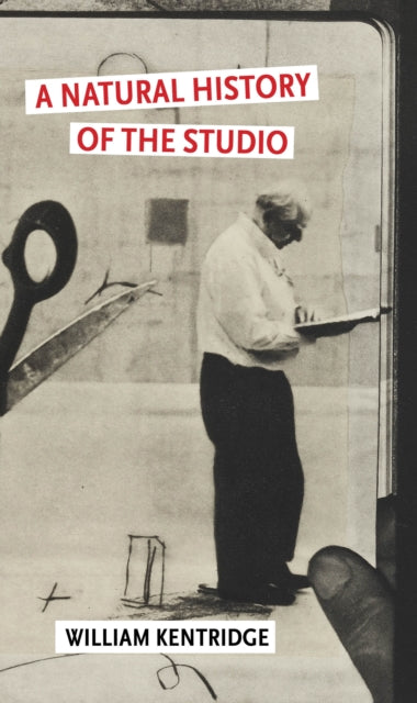A Natural History of the Studio - 9781804711255