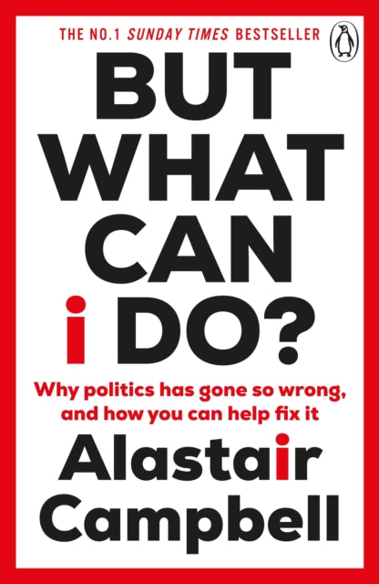 But What Can I Do? : Why Politics Has Gone So Wrong, and How You Can Help Fix It - 9781804943137