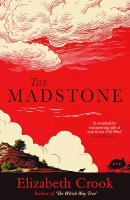 The Madstone - 9781835011027