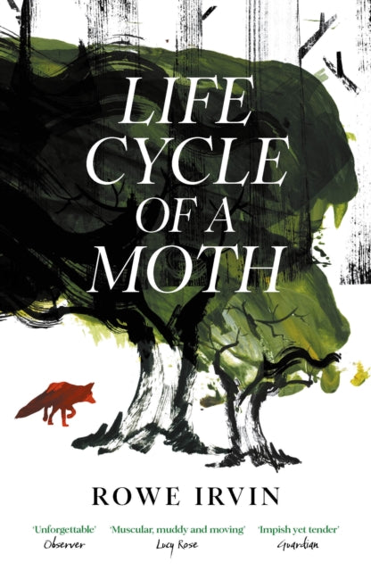 Life Cycle of a Moth - 9781837262489