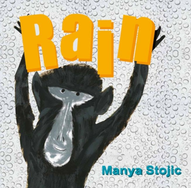 Rain - 9781843653059