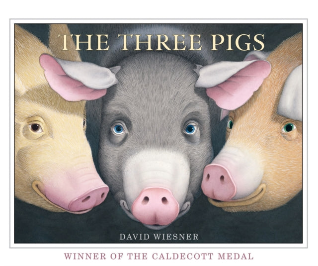 The Three Pigs - 9781849394055