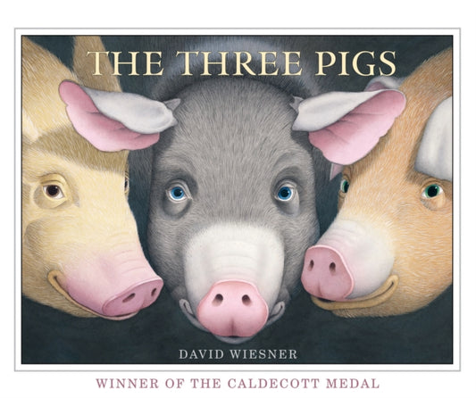 The Three Pigs - 9781849394055