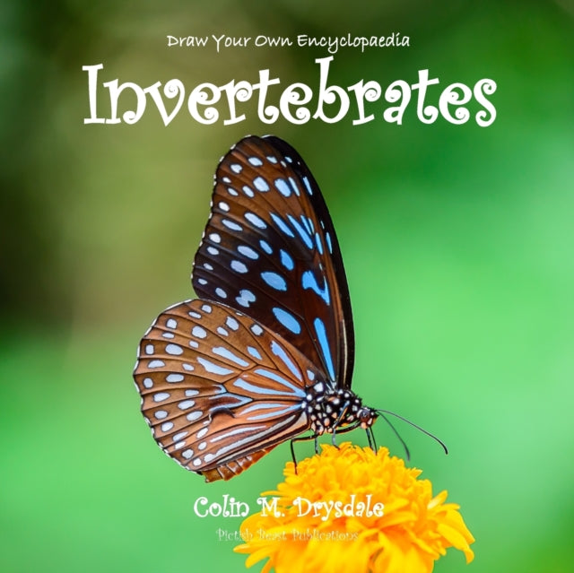 Draw Your Own Encyclopaedia Invertebrates - 9781909832459