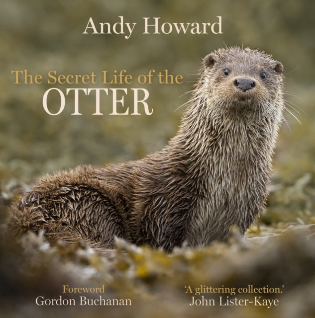 The Secret Life of the Otter - 9781913207410