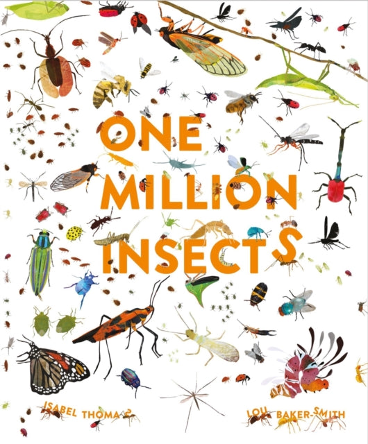 One Million Insects - 9781913519025