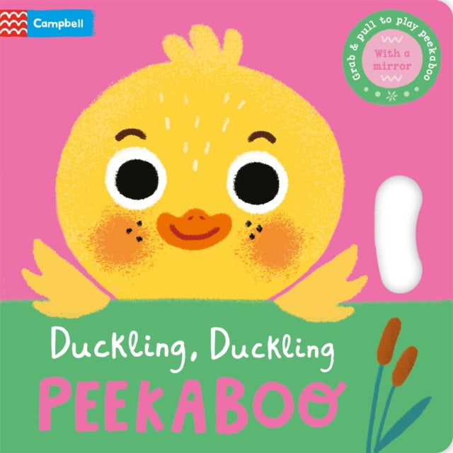 Duckling, Duckling, PEEKABOO-9781035011872