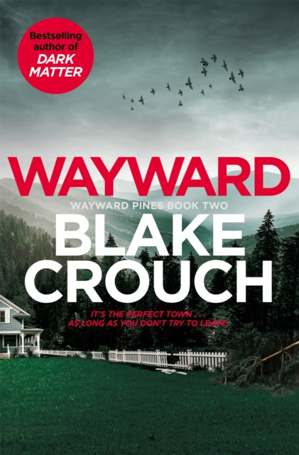 Wayward-9781529099850